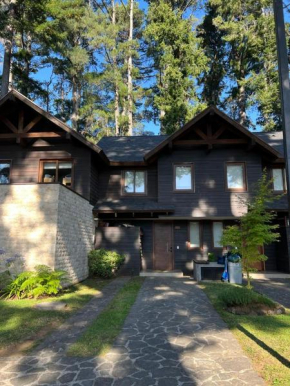 PUCON HOUSE - Lake Access & Near Ski Center